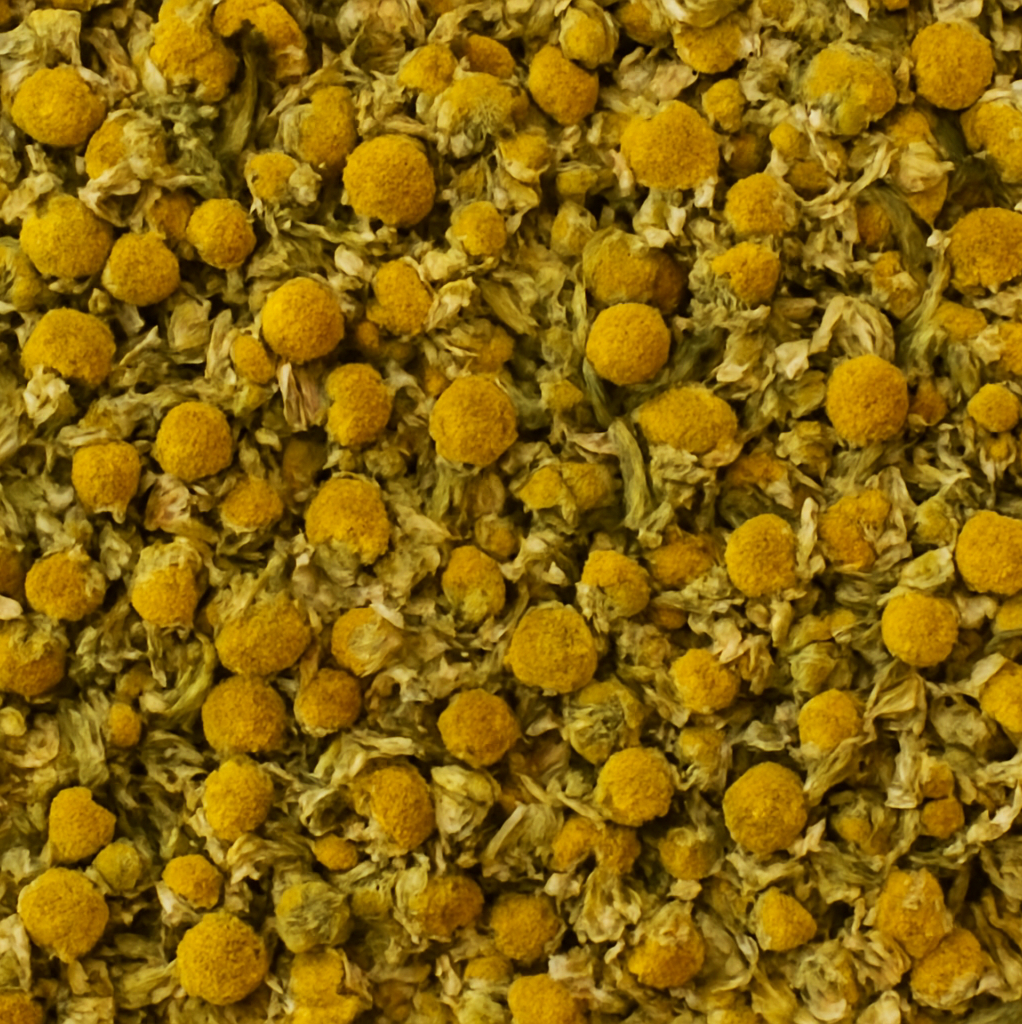 Kamilleblomst naturnær